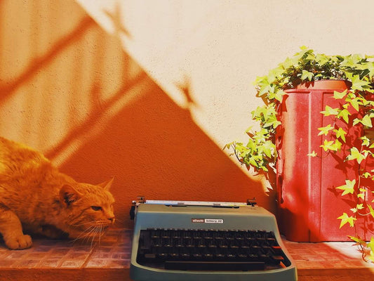 Why the Olivetti Lettera 32 Remains a Writer’s Favorite? ElGranero Typewriter.Company